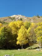 depuis Prattier 